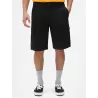 Dickies Shorts Millerville